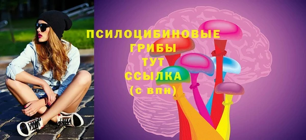 гидра Няндома