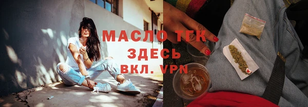 гидра Няндома