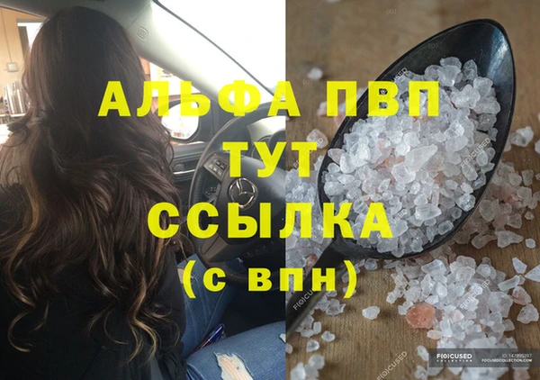 гидра Няндома