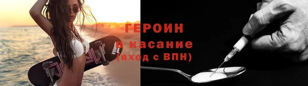 гидра Няндома