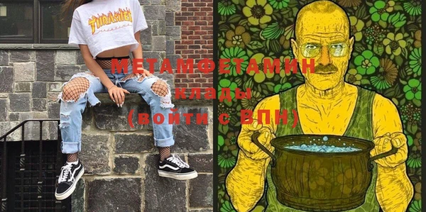 гидра Няндома
