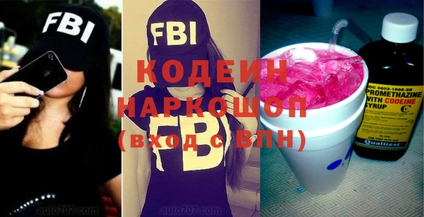 гидра Няндома