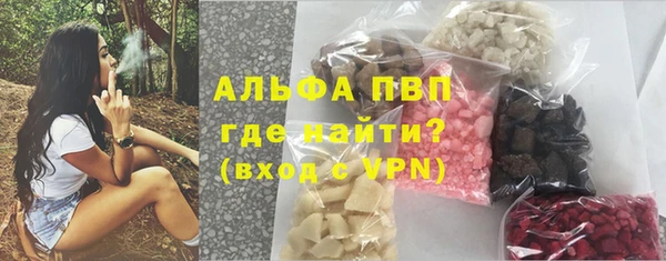 гидра Няндома